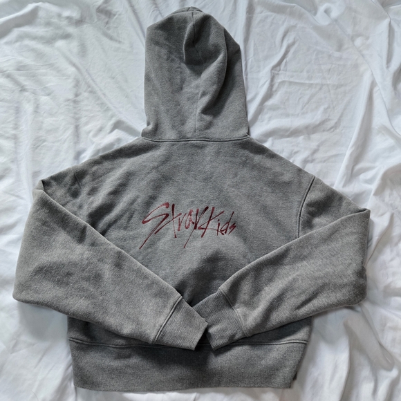 Wild Fable Stray Kids Heather Gray Crop Long Sleeve Hoodie - Picture 2 of 5